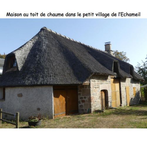 VMille Vaches 2019 9