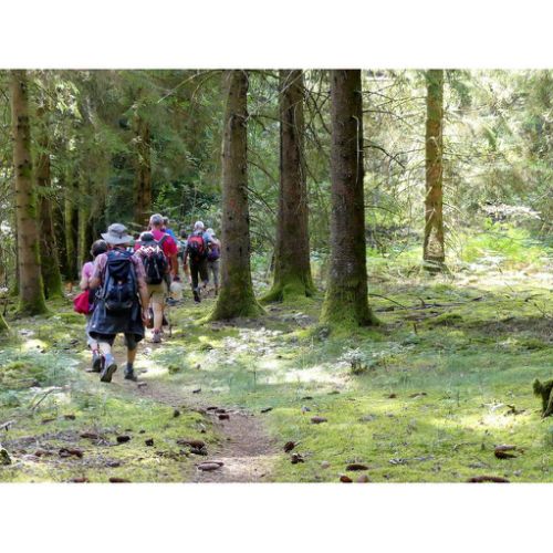 Mille Vaches 2019 10