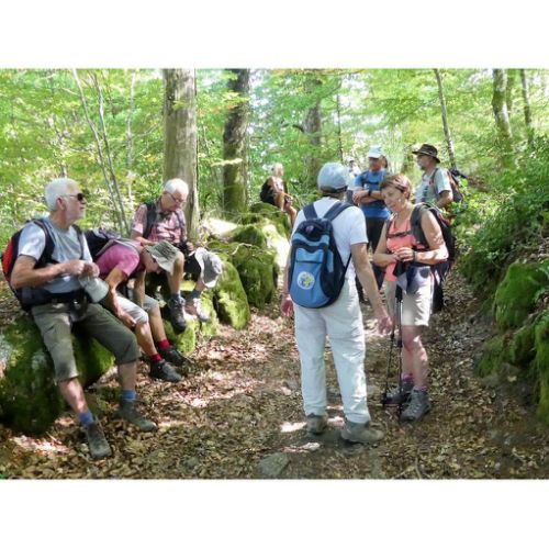 Mille Vaches 2019 11