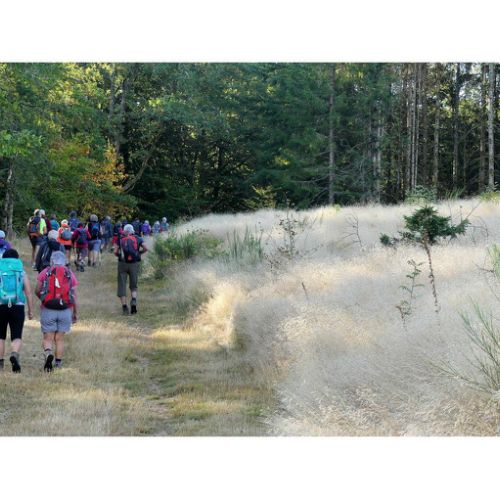 Mille Vaches 2019 12