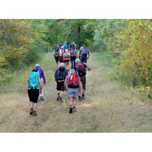 Mille Vaches 2019 13