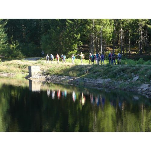 Mille Vaches 2019 19