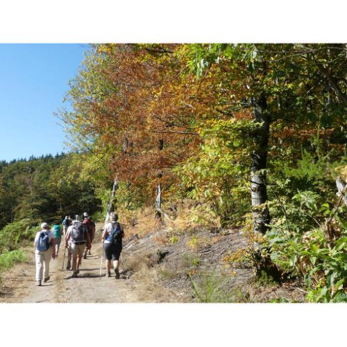 Mille Vaches 2019 20