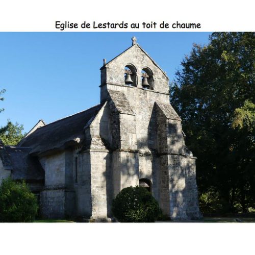 Mille Vaches 2019 21