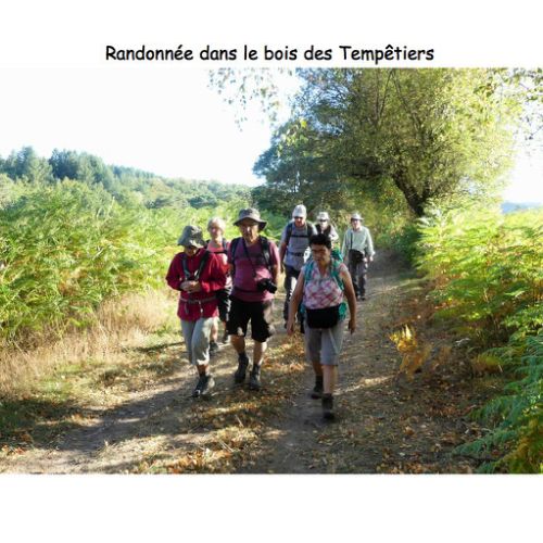 Mille Vaches 2019 22