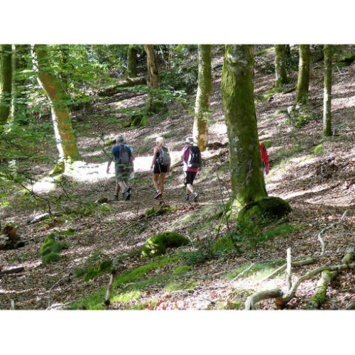 Mille Vaches 2019 23