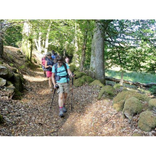 Mille Vaches 2019 24