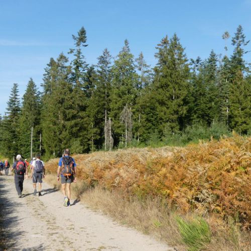 Mille Vaches 2019 26