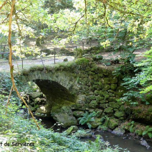 Mille Vaches 2019 28