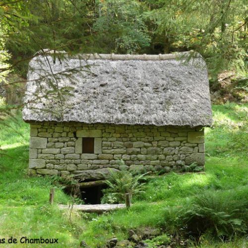 Mille Vaches 2019 29