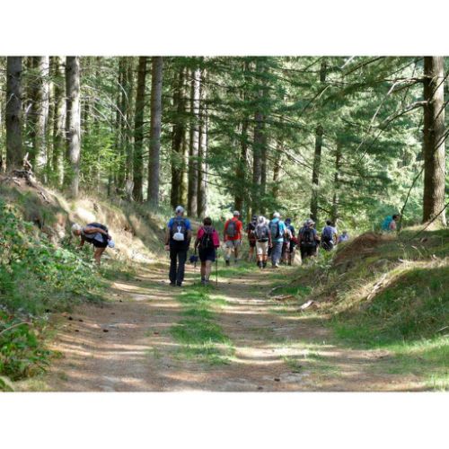 Mille Vaches 2019 31