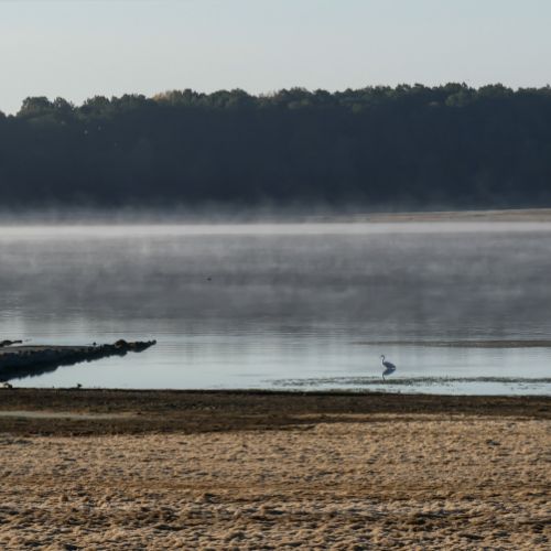 Lac Forêt d'Orient Geraudot